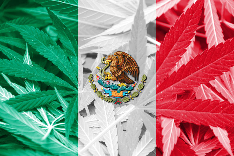 Mexico’s Supreme Court Rules Cannabis Prohibition Unconstitutional