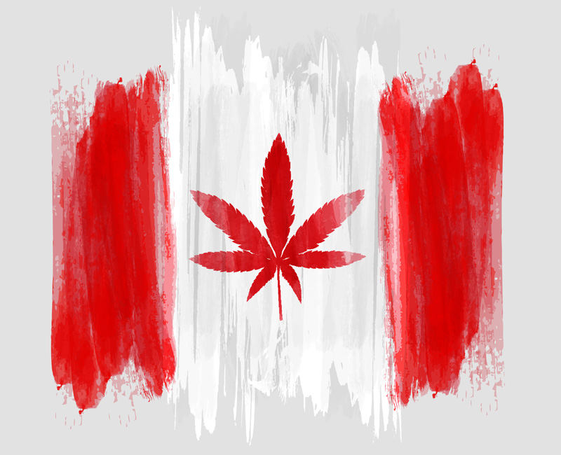 Canadian Cannabis Entrepreneurs are Afraid of the US – Here's Why