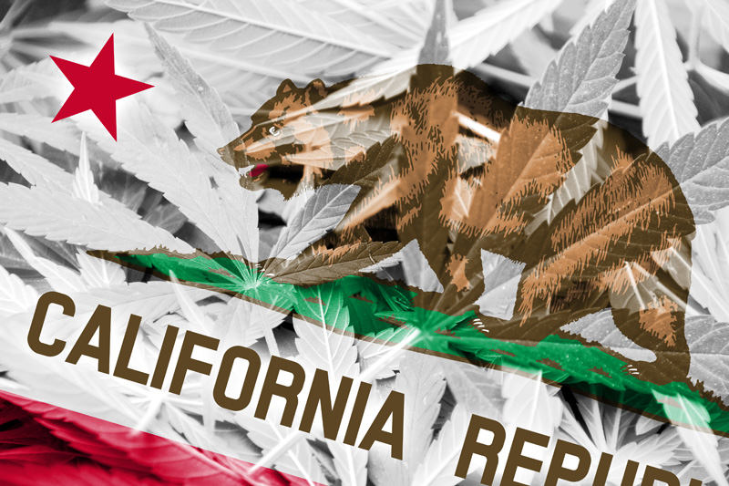 Examining California's Recreational Cannabis Supply Stream