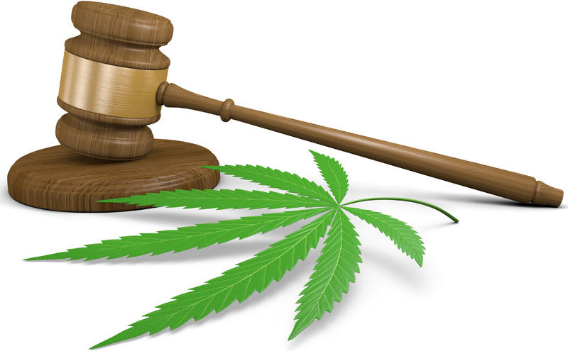 How Pot Businesses Can Fend Off RICO Cases