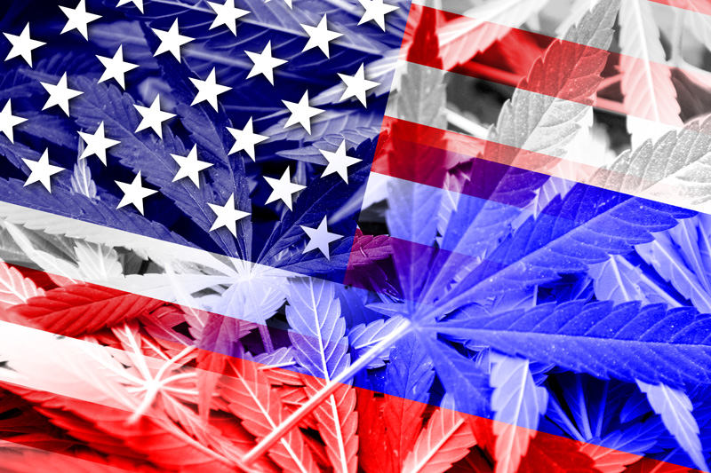 Which 5 States Will Legalize Recreational Cannabis Next?
