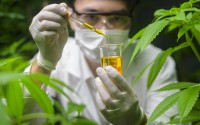 DEA Reschedules Cannabis (sort of)
