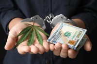 The Six Outrageous Marijuana Business Scams You Should Know About