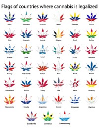 Latin American Cannabis Market Will Reach $8.5 Billion in Ten Years