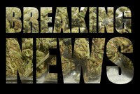 High Times Acquires Spannabis