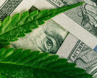 Cannabis Is &ldquo;The New Tech&rdquo; Right Down to the Bubble